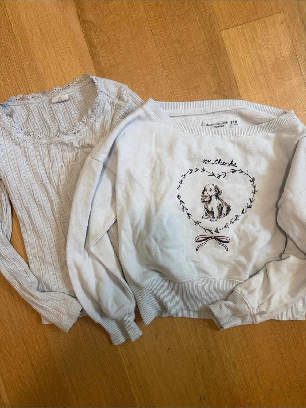 abercrombie kids pale blue sweatshirt with puppy graphic & pointelle long sleeve